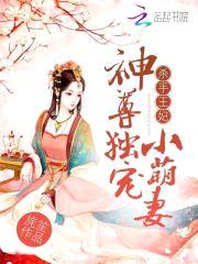 杀手王妃:神尊独宠小萌妻