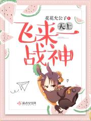 天上飞来一战神