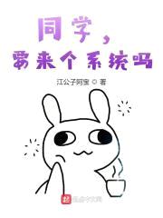 同学，要来个系统吗