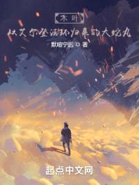 木叶:当大蛇丸受赐癫火之后