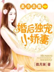 高冷总裁:婚后独宠小娇妻